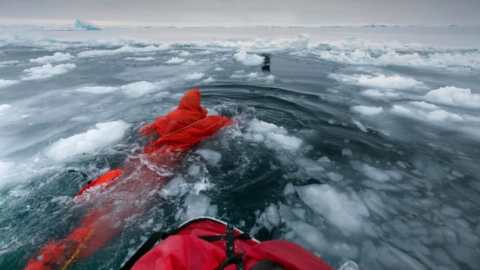 sea-ice